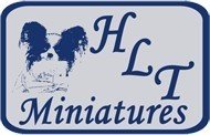 HLT Miniatures