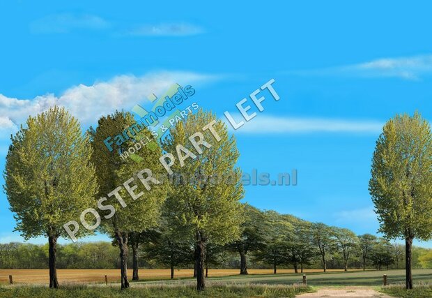 Landschap poster 700mm x 3600mm: Grasland gewierst met aansluitend graanland  Voorgrond MET bomen  Lente/ Zomer 1:32 - 1:35