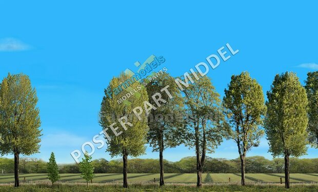 Landschap poster 700mm x 3600mm: Grasland gewierst met aansluitend graanland  Voorgrond MET bomen  Lente/ Zomer 1:32 - 1:35