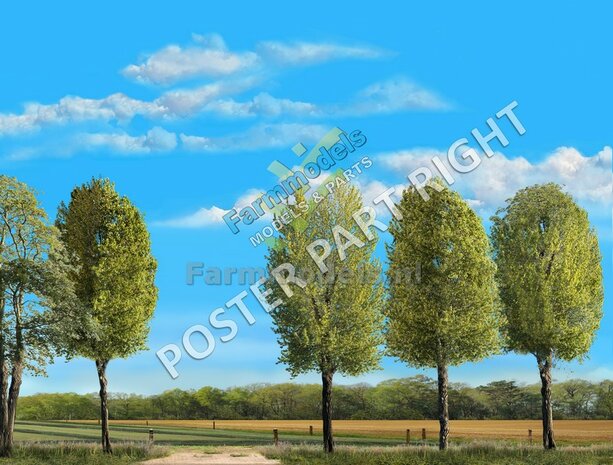 Landschap poster 700mm x 3600mm: Grasland gewierst met aansluitend graanland  Voorgrond MET bomen  Lente/ Zomer 1:32 - 1:35
