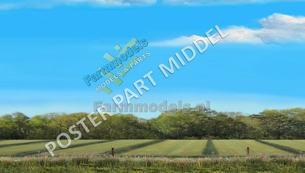 Landschap poster 700mm x 3600mm: Grasland gewierst met aansluitend graanland  Voorgrond zonder bomen  Lente/ Zomer 1:32 - 1:35