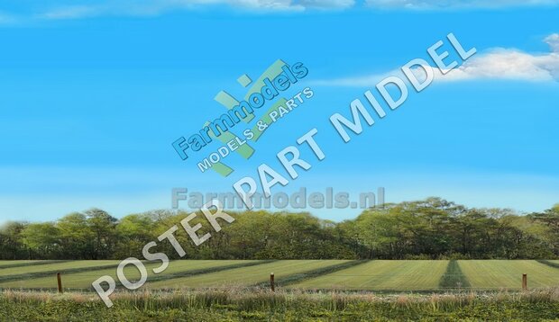 Landschap poster 350mm x 1800mm: Grasland gewierst met aansluitend graanland  Voorgrond zonder bomen  Lente/ Zomer 1:32 - 1:35