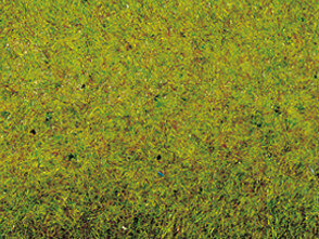 Grasmat zomer weide, 120 x 60 cm (00280)