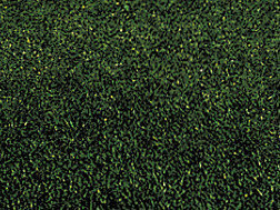 Grasmat, donkergroen, 120 x 60 cm (00230)