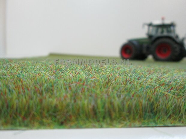Grasmat / grasland, (hoog) Lente / Meigroen, 80 x 80 cm (BU7216) 
