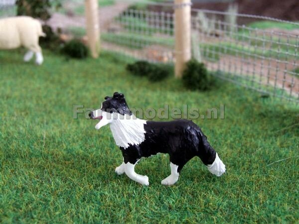 Rennende hond Border Collie 1:32 (WMA15)              