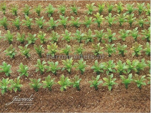 50x SuikerBietplanten (+/- 2cm hoog) Beetplants 1:32    Juweela  23387